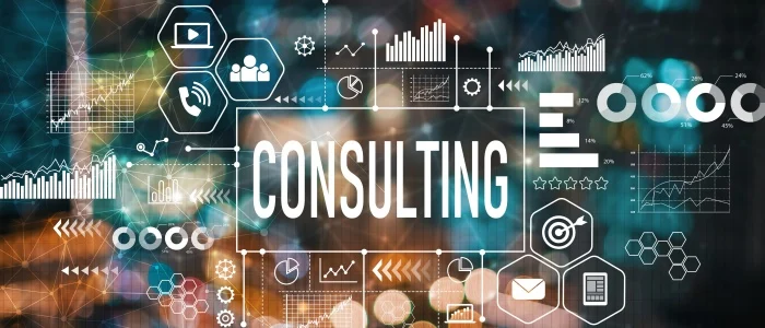 Business Consultancy